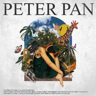 Peter Pan by Coral J