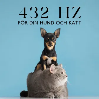 432 Hz för din hund och katt by Hundmusik oas