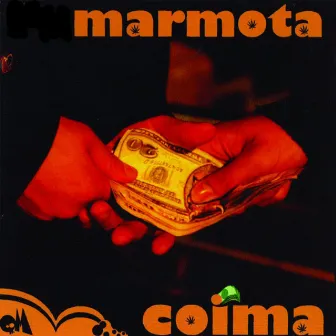 Coima by Marmota