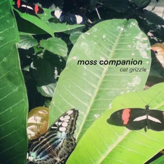 Moss Companion by Cat Grizzle