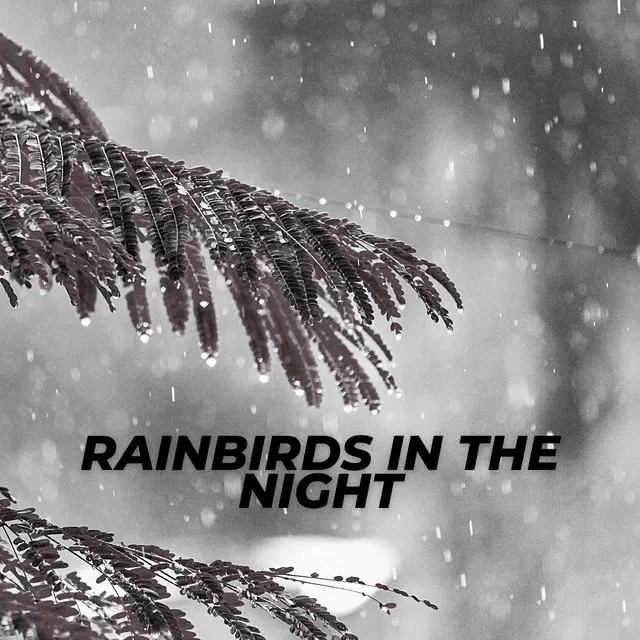 Rainbirds In The Night