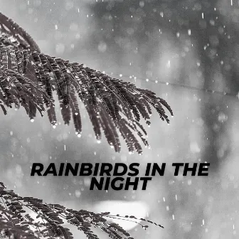 Rainbirds In The Night by Wide Noises