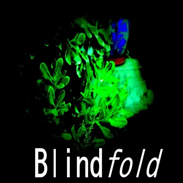 Blindfold