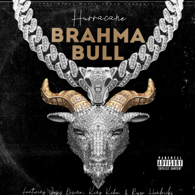 Brahma Bull