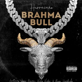 Brahma Bull by Hurracane