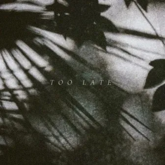 Too Late by Laeland