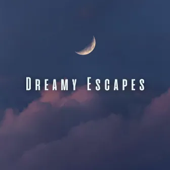 Dreamy Escapes: Relaxing Sleep Sounds for Peaceful Rest by Sleep Noise / Sleepy Noise