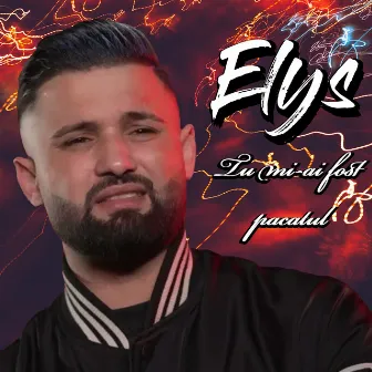 Tu Mi-Ai Fost Pacatul by Elys