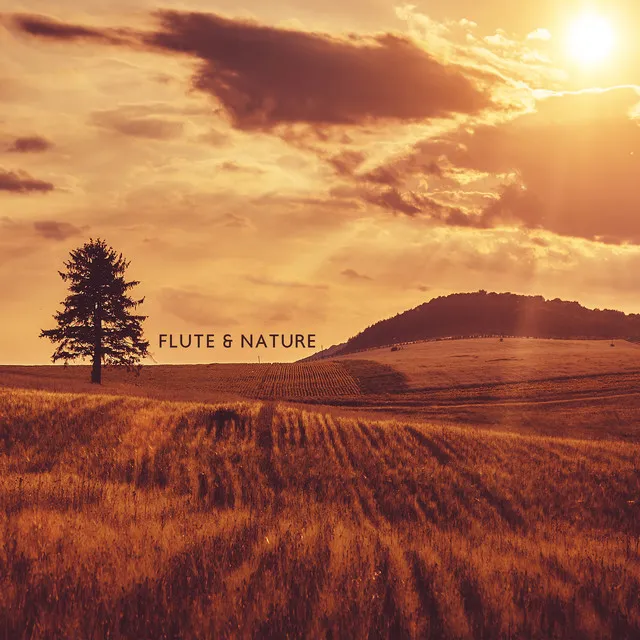 Flute & Nature: Healing Therapy, Deep Meditation, Flute Calm Sounds, Natural Rest & Relax