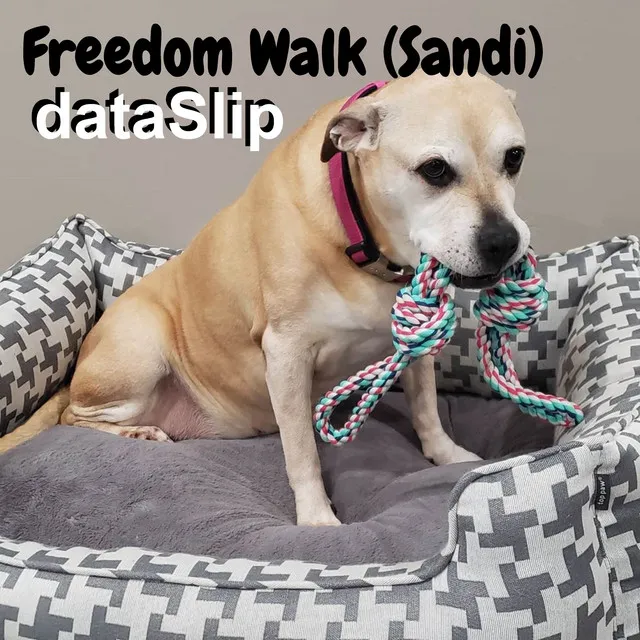 Freedom Walk (Sandi)