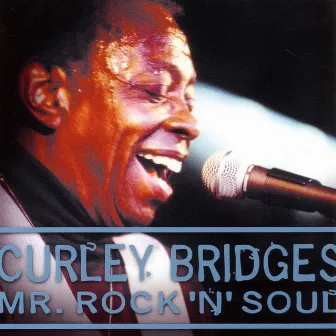 Mr. Rock 'n' Soul by Curley Bridges