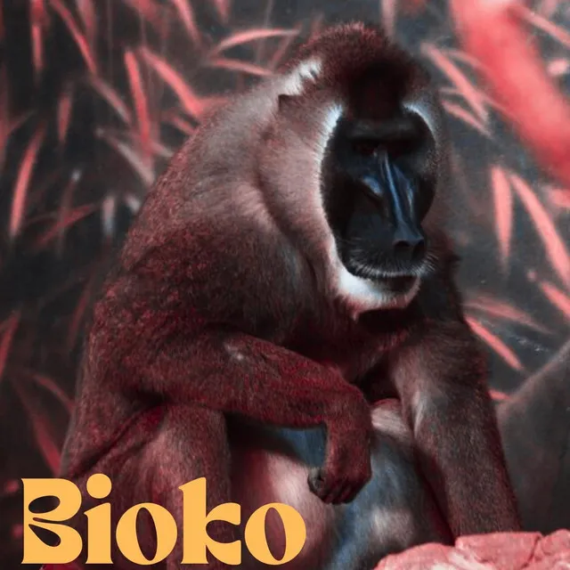 Bioko