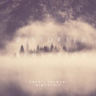 Distorted Sensation by Pronti & Kalmani