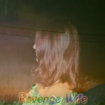 Die Together by Revenge Wife