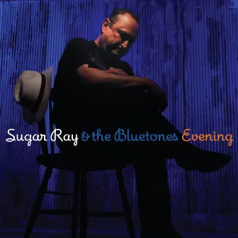 Evening by Sugar Ray & The Bluetones