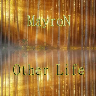 Other Life (Emotional Mix) by MayroN