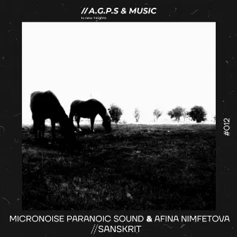 Sanskrit by Micronoise Paranoic Sound