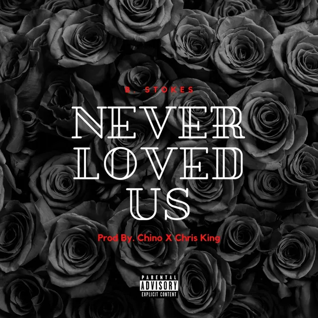 Never Loved Us