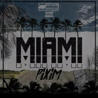 Miami by Pixim