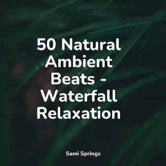 50 Natural Ambient Beats - Waterfall Relaxation by Rain Storm Sample Library