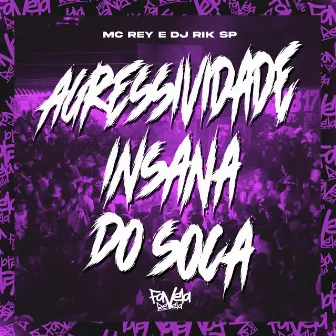 Agressividade Insana do Soca by DJ RIK SP