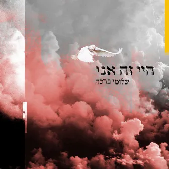 היי זה אני by Shlomi Bracha