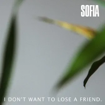 I Don't Want to Lose a Friend by SOFIA