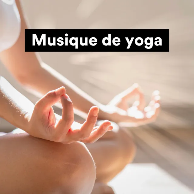 Zen Méditation Académie