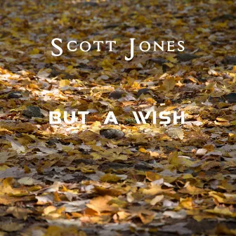 But A Wish by Scott Jones