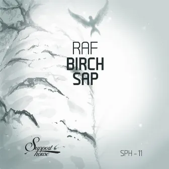 Birch Sap by Raf