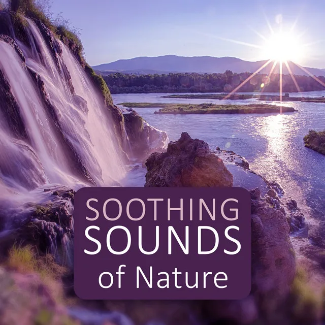 Soothing Sounds of Nature – Sound of Nature, Summer Sounds, Calming Music for Relaxation, Deep Sounds for Meditation