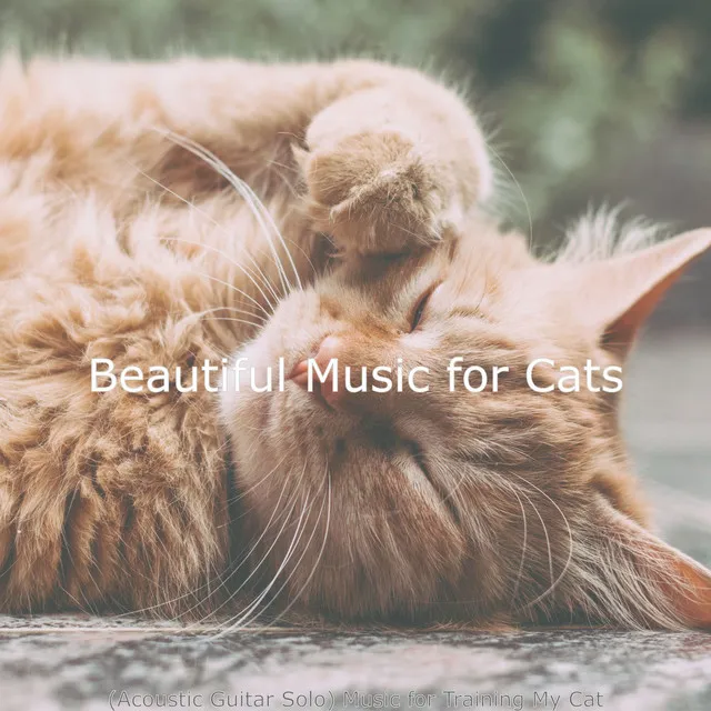 Deluxe Music for Calming Kittens