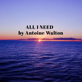 ALL I Need by Antoine Walton