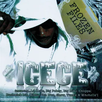 Frozen Files by ICECE