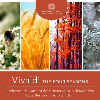 Vivaldi: The Four Seasons by Paolo Ghidoni