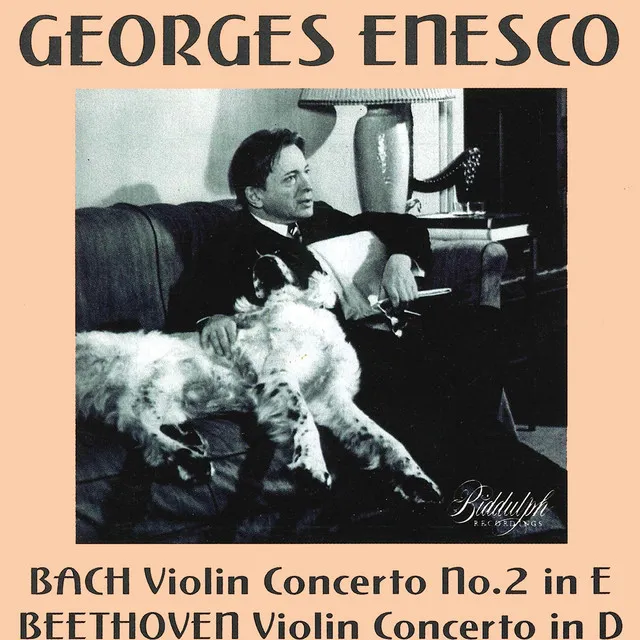 Violin Concerto No. 2 in E Major, BWV 1042: I. Allegro (Live)