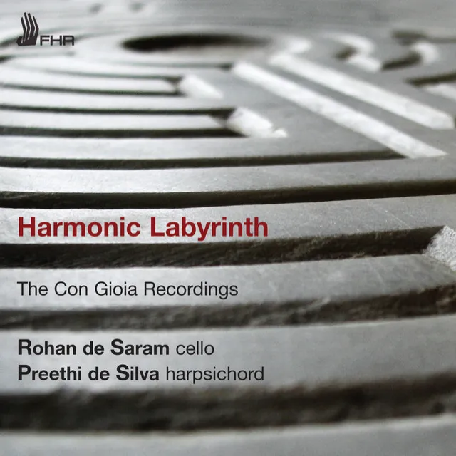 Harmonic Labyrinth