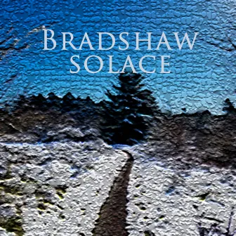 Solace by Bradshaw