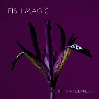 Stillness by Fish Magic