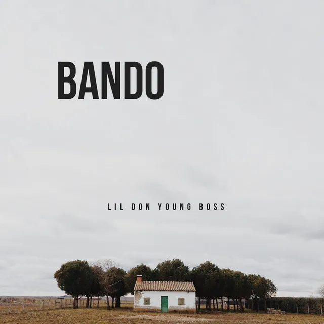 Bando