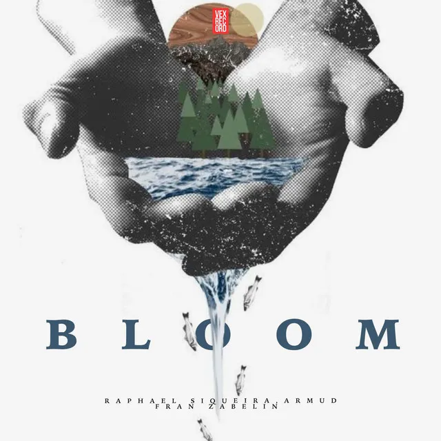 Bloom