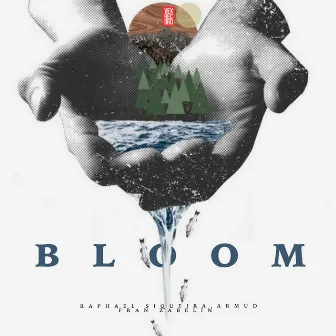 Bloom by Fran Zabelin