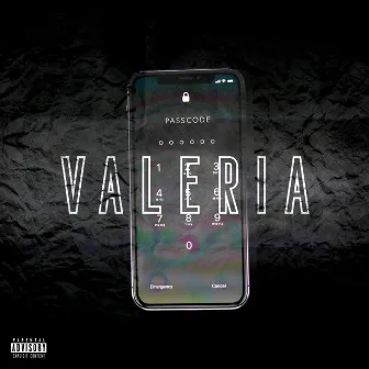 Passcode by Valeria