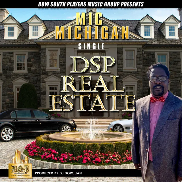 Dsp Real Estate