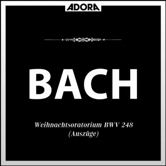 Bach: Weihnachtsoratorium, BWV 248 - Auszüge by Schwäbischer Singkreis