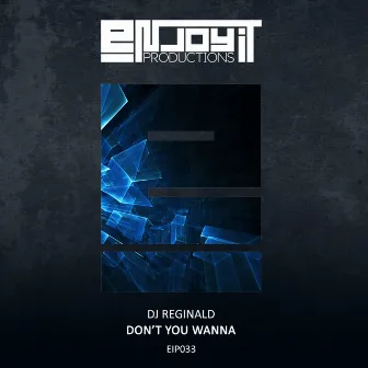 Don't You Wanna by DJ Reginald