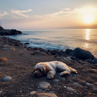 Brisa Oceánica: Sonidos Binaurales Para La Calma De Los Perros by Tu perro se relaja