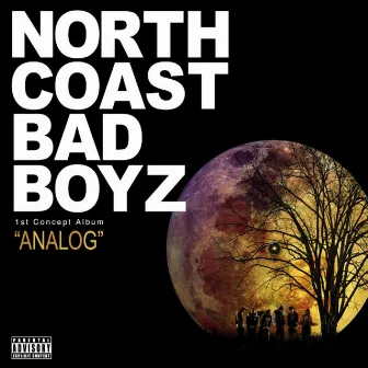 ANALOG by N.C.B.B