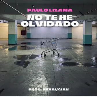 NO TE HE OLVIDADO by Paulo Lizama