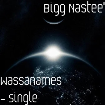 Wassanames - Single by Bigg Nastee'